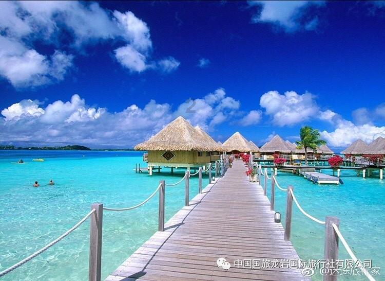机智问答网页-全面解答你的疑问-